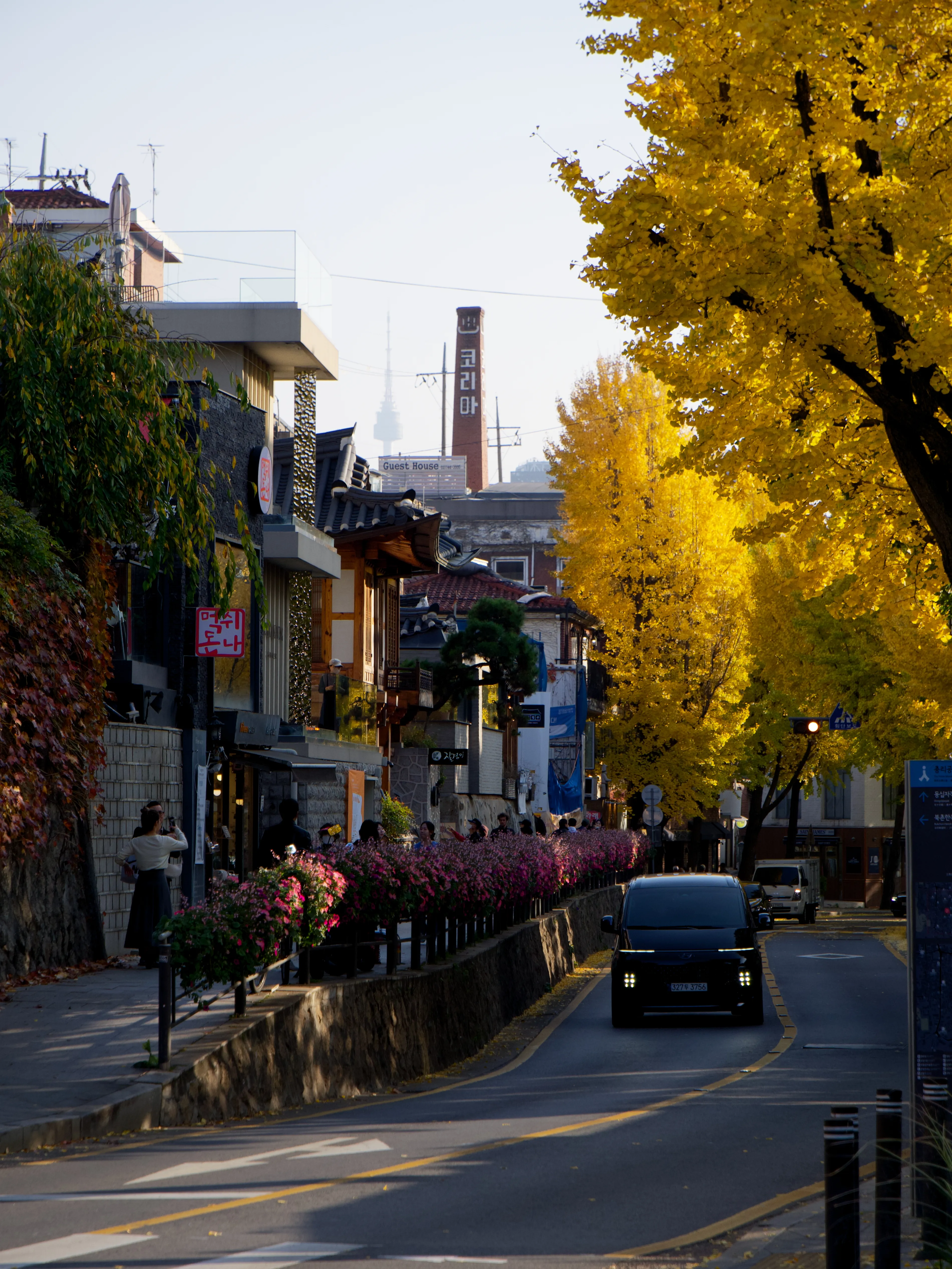 Autumn Foliage - Picture 13